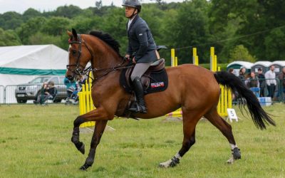 Danny triumphs against the odds to reach Horse of the Year Show